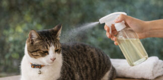 0127996a432d79f5bb1a091fcaedd42f L.jpg