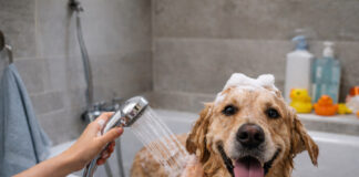 02039ff50459087e36f737ce74006132 L.jpg