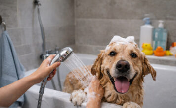 02039ff50459087e36f737ce74006132 L.jpg