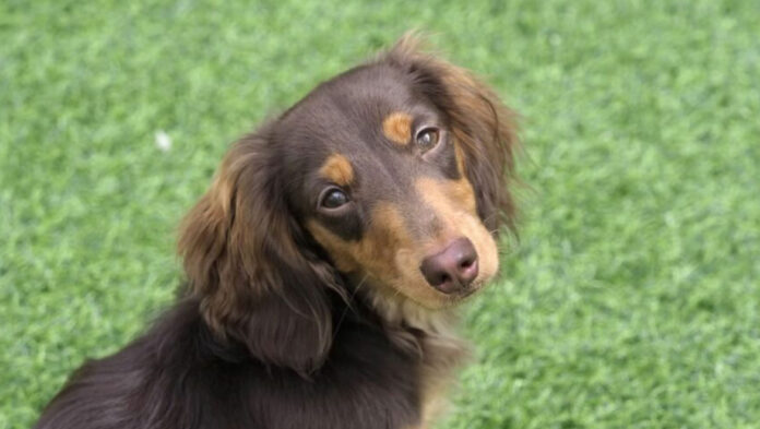 15156321456314563.jpg 15156321456314563.jpg