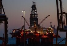 1774808768 petrelaio 1 3.jpg