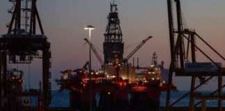 1774808768 petrelaio 1 3.jpg