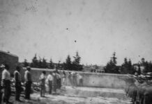 200 kaisariani fotografies ntokoumenta2 1 1200x630.jpg