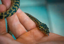 24b9d106f5396e259bda89e9ba7d436e L.jpg