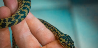 24b9d106f5396e259bda89e9ba7d436e L.jpg