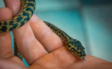 24b9d106f5396e259bda89e9ba7d436e L.jpg