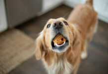 29c6f97e5b9470b5b2374d362e28a31a L.jpg