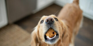 29c6f97e5b9470b5b2374d362e28a31a L.jpg