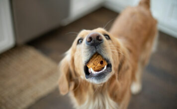 29c6f97e5b9470b5b2374d362e28a31a L.jpg