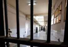 5294259 1200x630.jpg