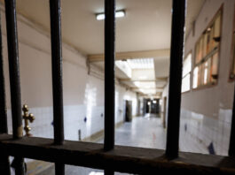 5294259 1200x630.jpg