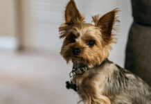 6ac506d7da734eb0e13436cc1421259f L.jpg