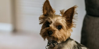 6ac506d7da734eb0e13436cc1421259f L.jpg