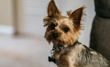 6ac506d7da734eb0e13436cc1421259f L.jpg