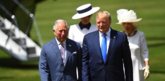 Donald Trump 9 1200x630.jpg