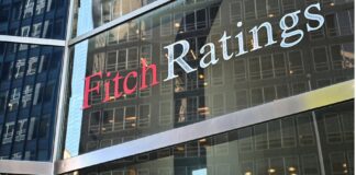 Fitch 1.jpg