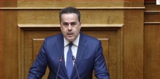 Stavros Papastavrou 1.jpg