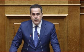 Stavros Papastavrou 1.jpg