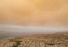 afrikaniki skoni 03032026 1200x630.jpg