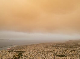 afrikaniki skoni 03032026 1200x630.jpg