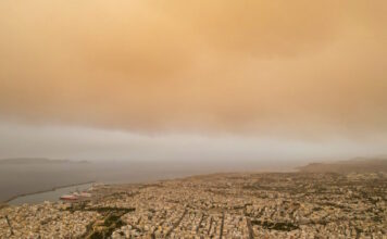 afrikaniki skoni 03032026 1200x630.jpg