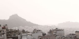 afrikanikiskoni 1200x630.jpg