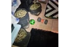 aigalew x 1200x630.jpg