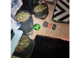 Αιγάλεω: Συνελήφθη οδηγός σχολικού να κάνει χρήση ναρκωτικών εν ώρα εργασίας – Βρέθηκε εργαστήριο κάνναβης στο σπίτι του aigalew x 1200x630.jpg