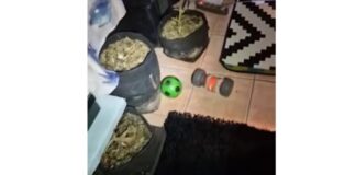 aigalew x 1200x630.jpg