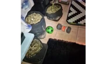 aigalew x 1200x630.jpg