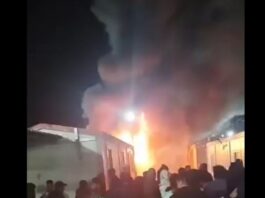 amygdaleza 1 1200x630.jpg