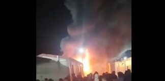 amygdaleza 1 1200x630.jpg