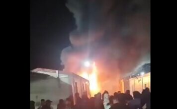 amygdaleza 1 1200x630.jpg