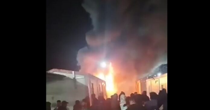 amygdaleza 1 1200x630.jpg