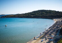 andros1 1200x630.jpg