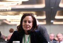 anna diamantopoulou pasok 1200x630.jpg