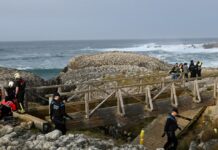 ap spain bridge elbocal 1200x630.jpg