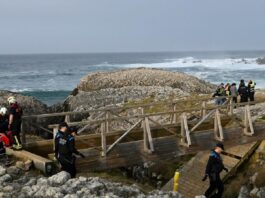 ap spain bridge elbocal 1200x630.jpg