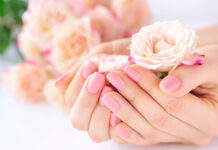 apalo roz 1024x681.jpg