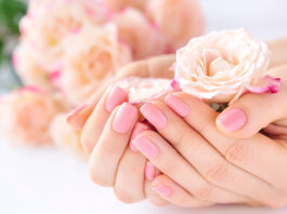 apalo roz 1024x681.jpg