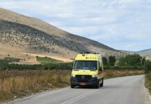 asthenoforo 1 1200x630.jpg