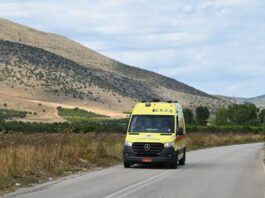 asthenoforo 1 1200x630.jpg