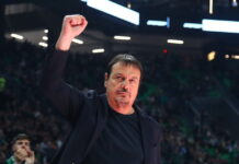 ataman 10 1200x630.jpg