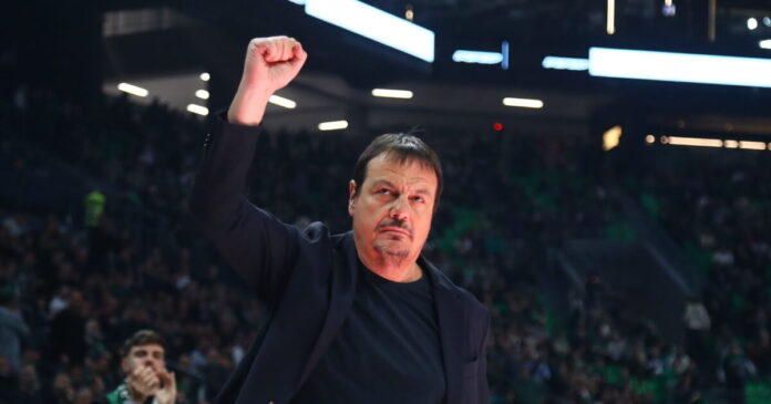 ataman 10 1200x630.jpg ataman 10 1200x630.jpg