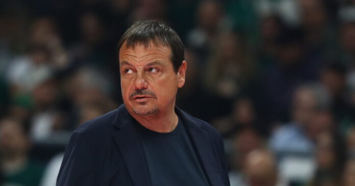 ataman 3 1200x630.jpg