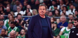 ataman 5 1200x630.jpg