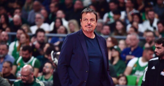 ataman 5 1200x630.jpg