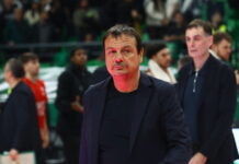 ataman 6 1 1200x630.jpg