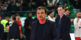 ataman 6 1 1200x630.jpg