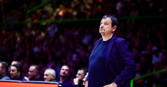 ataman 7 1200x630.jpg